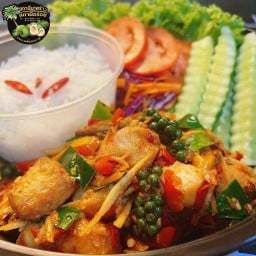 ชุดข้าวหอมมะลิ+ผัดฉ่าปลาดอลลี่200gเครื่องแน่นๆ รสเด็ดจัดจ้าน พร้อมผักเครื่องเคียง
