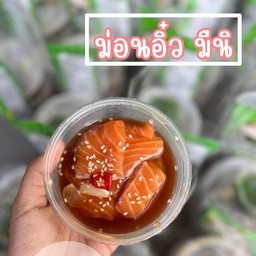 ม่อนอิ๋ว มินิ5-6ชิ้น