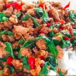 [อร่อยซ่ากับโค้ก] กระเพาหมูสับ +  โค้ก ไม่มีน้ำตาล (กระป๋อง)