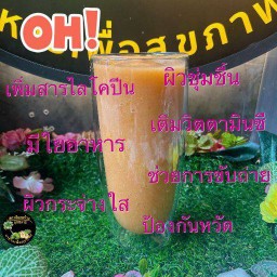ปั่นพรีเมี่ยม แคนตาลูป+มะเขือเทศ+ฝรั่ง+ส้ม+แตงกวา