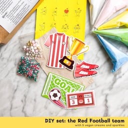 DIY set Football Team