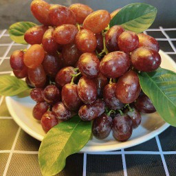 องุ่นแดงพันธุ์จักรพรรดิ์ นำเข้า ราคา 1000กรัม