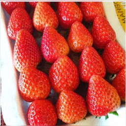 สตอเบอรี่พรีเมี่ยมUSA 500 g (1 กล่อง)