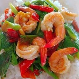 คะน้ากุ้ง