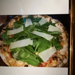 Rucola