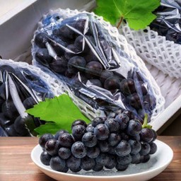 องุ่นเคียวโฮไร้เม็ดนำเข้า คัดพิเศษหนัก 1500g