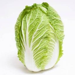 ผักกาดขาว