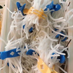 เกาหลีสีขาว