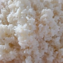 ข้าวเปล่า,ข้าวสวย