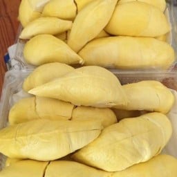 ทุเรียน สะพานนนท์