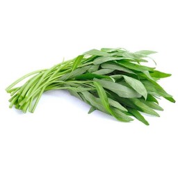 ผักบุ้ง