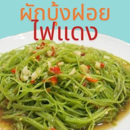 ผักบุ้งฝอยไฟแดง