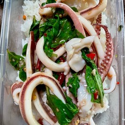 กะเพราปลาหมึก(ราดข้าว)