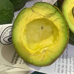 (สุก)บัคคาเนีย