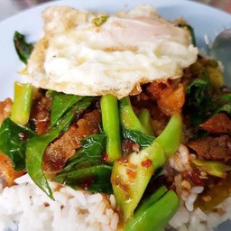 ผัดคะน้าราดข้าว(แถมฟรีไข่ดาว)