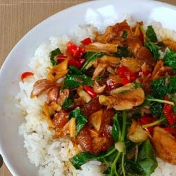 กระเพราหมู สามชั้นตุ๋น