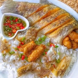 ปลาสลิดไข่ 1 ตัว