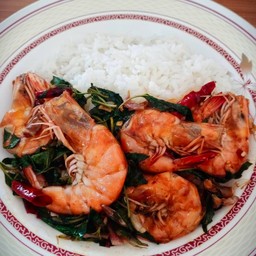 กะเพรากุ้ง-ราดข้าว