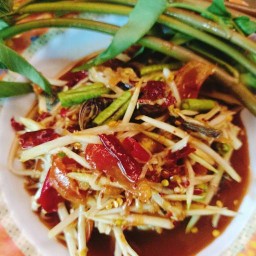 อาหารตามสั่ง ส้มตำ ยำแซบ ลาบส้า แกงอ่อม by Jubjang