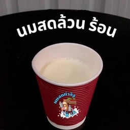 นมสดแท้ร้อน (รสจืด)