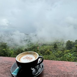 Hank Coffee