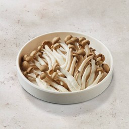 H12 เห็ดชิเมจิดำ