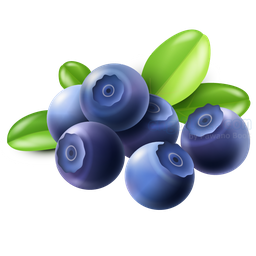 บลูเบอรี่ปีโป้