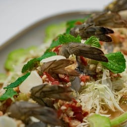 กุ้งแช่น้ำปลา