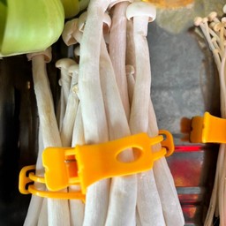 เห็ดชิเมจิ