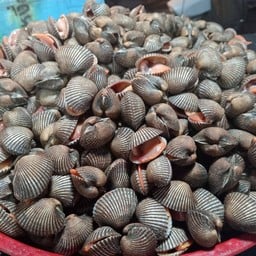ครัวดั่งใจ อาหารทะเลสด (เจ็ททะเลสด) เลย