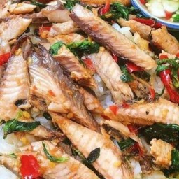 ข้าว กะเพราปลาทู