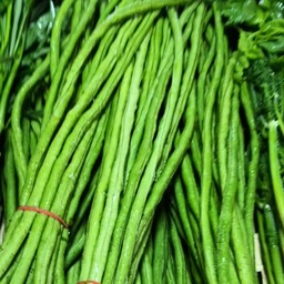 ถั่วฝักยาว