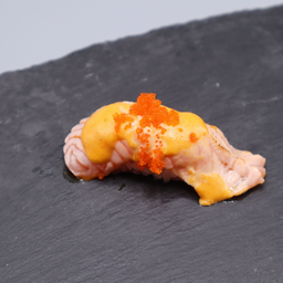 (GS11) Salmon Yummy Sushi (1P)