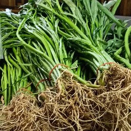 ผักบุ้ง