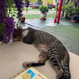 วัดเนินบุญญาราม