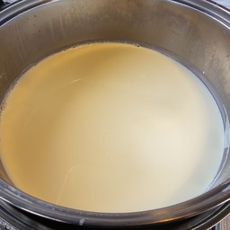 โกโก้นมสด