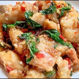 กะเพราปลาดอลลี่