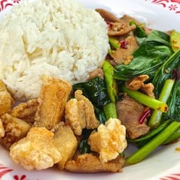 ผัดคะน้าราดข้าว