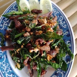 แม่จันทร์อาหารป่า