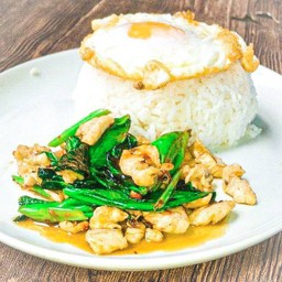 ข้าวราดผัดคะน้าไก่