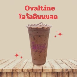 โอวัลตินนมสด เย็น