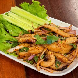 น้ำตกคอหมูย่าง