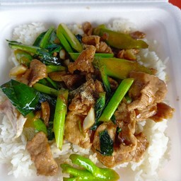 ผัดคะน้าน้ำมันหอย