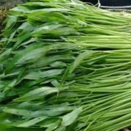 MENU_2892939ym_1724317679