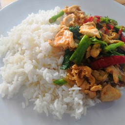 กระเพราไก่ราดข้าว No.1