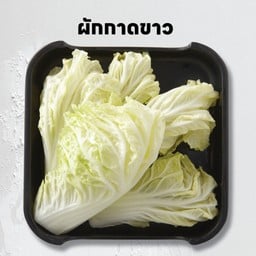 ผักกาดขาว