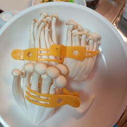 เห็ดชิเมจิ