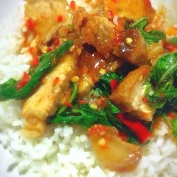 กระเพราหมูกรอบราดข้าว