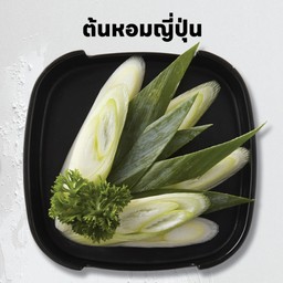 ต้นหอมญี่ปุ่น