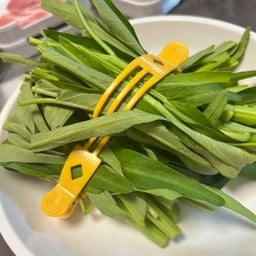 ผักบุ้ง